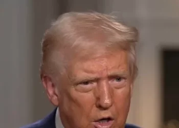 Trump: Elon Musk Has ‘Done a Great Job’