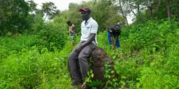Archaeologists use song to herald findings in Guinea-Bissau dig