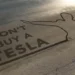 Welsh beach used for ‘world’s biggest anti-Elon Musk protest’