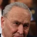 Chuck Schumer Mocks ‘Greedy’ Americans Who Want Less Taxes, Less Government Control