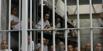 Judge Blocks Deportations with Legal Right to Appeal