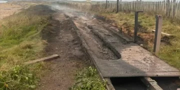 Fire-damaged Welsh boardwalk to be repaired