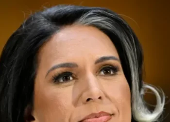 DNI Tulsi Gabbard: We Are Aggressively Pursuing Recent Intelligence Community Leakers