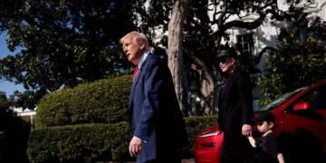 Trump: Tree Planted by Andrew Jackson ‘Many Years Ago’ Will Be Removed