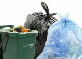 Bank holiday waste collection ‘chaos’ can’t carry on as it is, says councillor