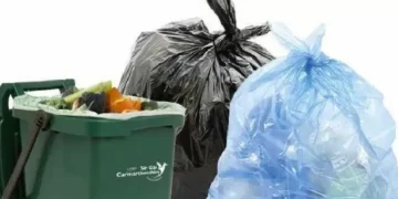 Bank holiday waste collection ‘chaos’ can’t carry on as it is, says councillor
