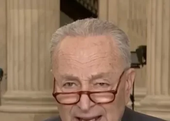 Schumer: Shutdown Would Let ‘Vicious, Nasty’ Musk and Trump Ruin Democracy