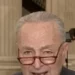 Schumer: Shutdown Would Let ‘Vicious, Nasty’ Musk and Trump Ruin Democracy