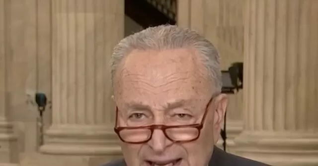 Schumer: Shutdown Would Let ‘Vicious, Nasty’ Musk and Trump Ruin Democracy