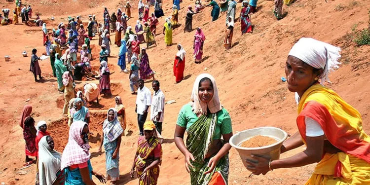 Tamil Nadu Budget 2025: Focus on women, youth and government employees