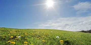 Met Office says expect 20C this week but also issues ice warning