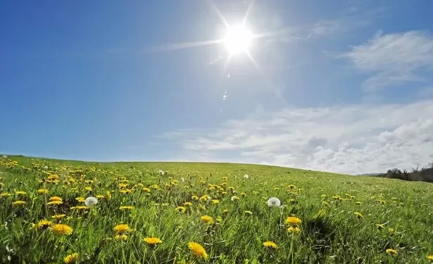 Met Office says expect 20C this week but also issues ice warning