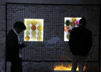 Exhibition in Türkiye features ‘vegan leather’ made from used tea