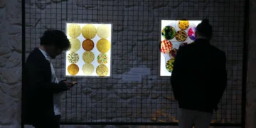 Exhibition in Türkiye features ‘vegan leather’ made from used tea