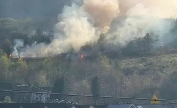 Grass fire at hillside farm ‘started deliberately’