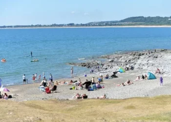 Council considers banning ‘flying ring’ frisbees on beaches for brutal reason