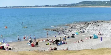 Council considers banning ‘flying ring’ frisbees on beaches for brutal reason