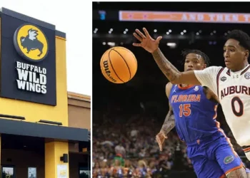 WATCH: Fight Erupts at Buffalo Wild Wings After Auburn Loses to Florida