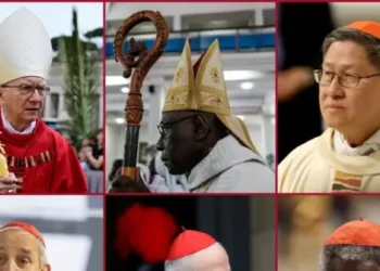 Francis Critics, Conservatives Among the Top Candidates to Be Next Pope