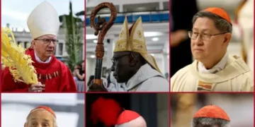 Francis Critics, Conservatives Among the Top Candidates to Be Next Pope