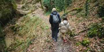 Study shows many UK children can’t identify basic insects – new initiative hopes to boost knowledge