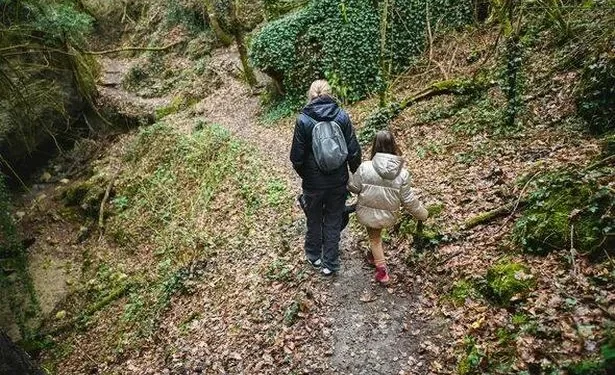Study shows many UK children can’t identify basic insects – new initiative hopes to boost knowledge