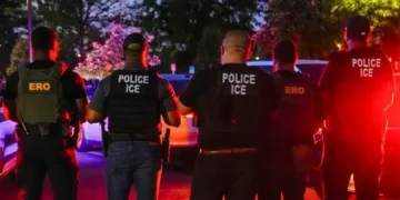 New York’s Mary Rosado Latest Judge with Democrat Activist Resume to Halt Trump Agenda