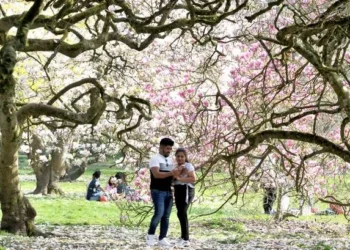 Met Office explains why it feels felt so cold despite all the sunshine in Wales