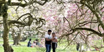 Met Office explains why it feels felt so cold despite all the sunshine in Wales