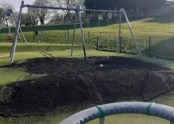 Vandals torch play area leaving council with a four figure repair bill