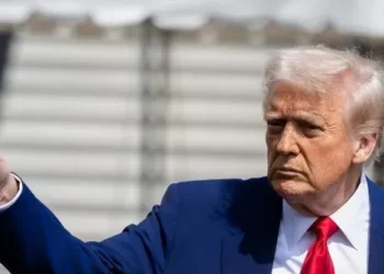 Trump’s DHS Deports Nearly 300 Gang Member Terrorists in First 100 Days