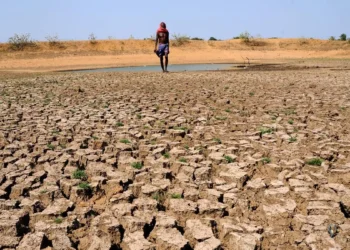 Heatwave days may rise 50% in 3 months: IMD