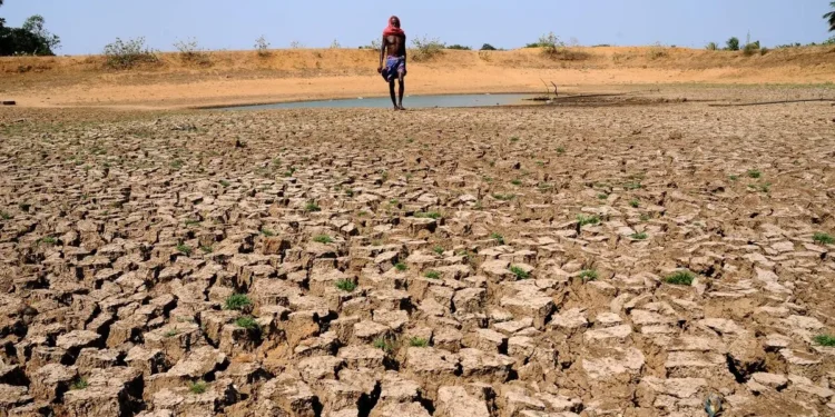 Heatwave days may rise 50% in 3 months: IMD