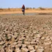 Heatwave days may rise 50% in 3 months: IMD