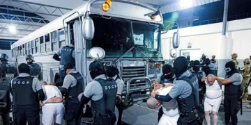 Poll Shows Split as Trump Slams Judges for Pro-Migration Rulings