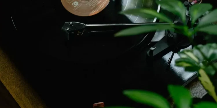 “The Transformative Power of Música in Our Lives”