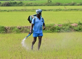 Indian summer crops sowing up 7% on conducive weather, ample water