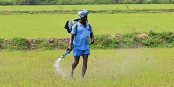 Indian summer crops sowing up 7% on conducive weather, ample water