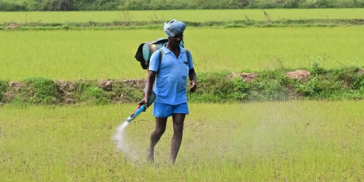 Indian summer crops sowing up 7% on conducive weather, ample water