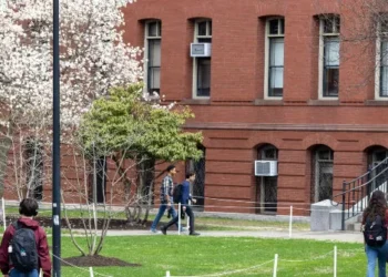 Globalist Harvard Claims ‘Devastating’ Damage from Visa Cutoff