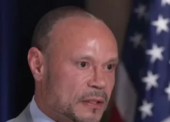 Bongino: Epstein ‘Killed Himself’ — ‘I Have Seen the Whole File’