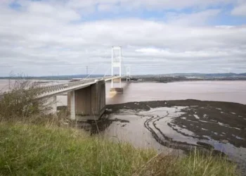 Campaign for Severn tidal lagoon continues despite losing UK Government funding