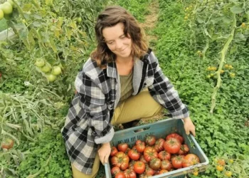 Welsh farmers and growers praying for rain after unusually dry conditions