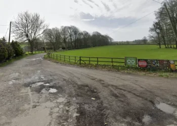 28 people fall ill after feeding animals at Welsh attraction