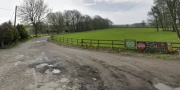 28 people fall ill after feeding animals at Welsh attraction