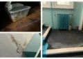 I visited a bedbug-infested hostel and couldn’t stay because of what I found