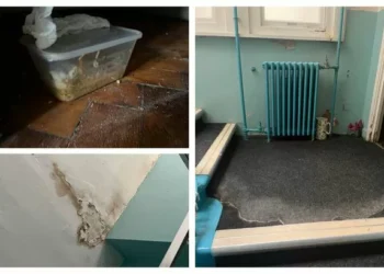 I visited a bedbug-infested hostel and couldn’t stay because of what I found