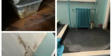 I visited a bedbug-infested hostel and couldn’t stay because of what I found