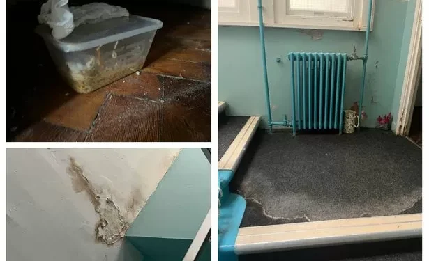 I visited a bedbug-infested hostel and couldn’t stay because of what I found