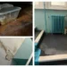 I visited a bedbug-infested hostel and couldn’t stay because of what I found